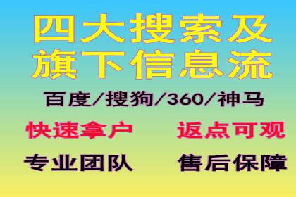 网站sem托管服务提供商的成功案例分析